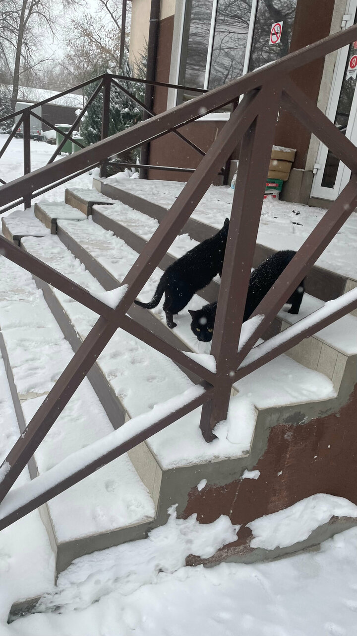 Апарт-отель Лондон Новокуйбышевск-100