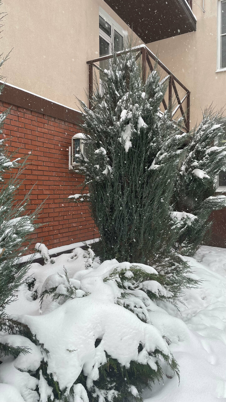 Апарт-отель Лондон Новокуйбышевск-78