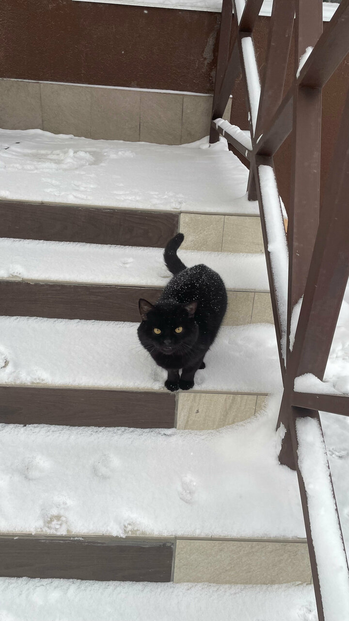 Апарт-отель Лондон Новокуйбышевск-68