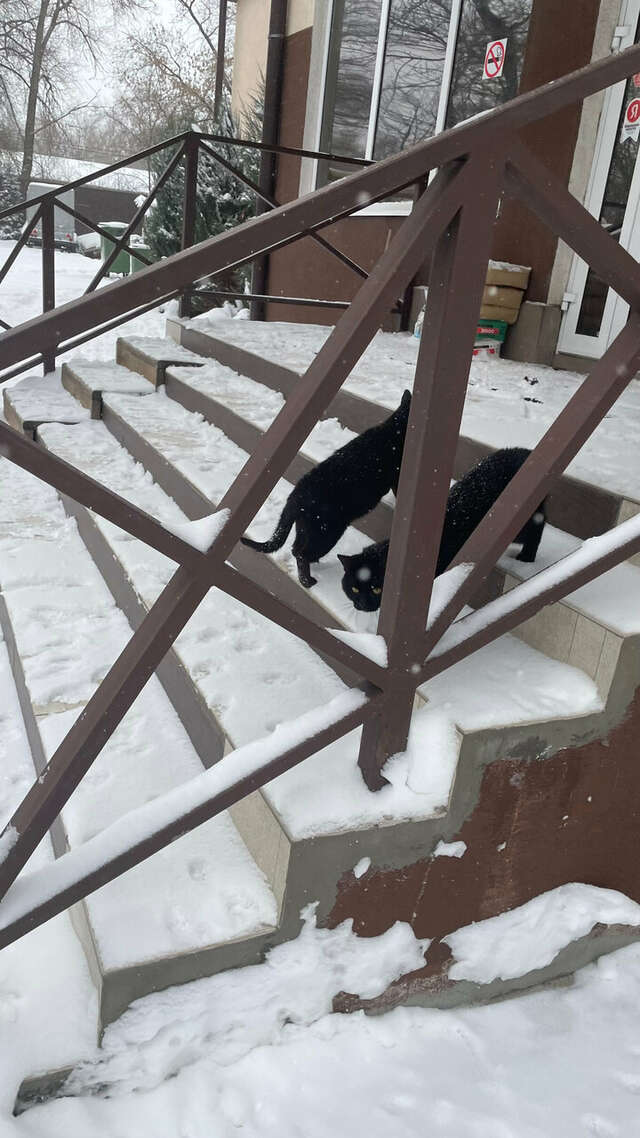 Апарт-отель Лондон Новокуйбышевск-99