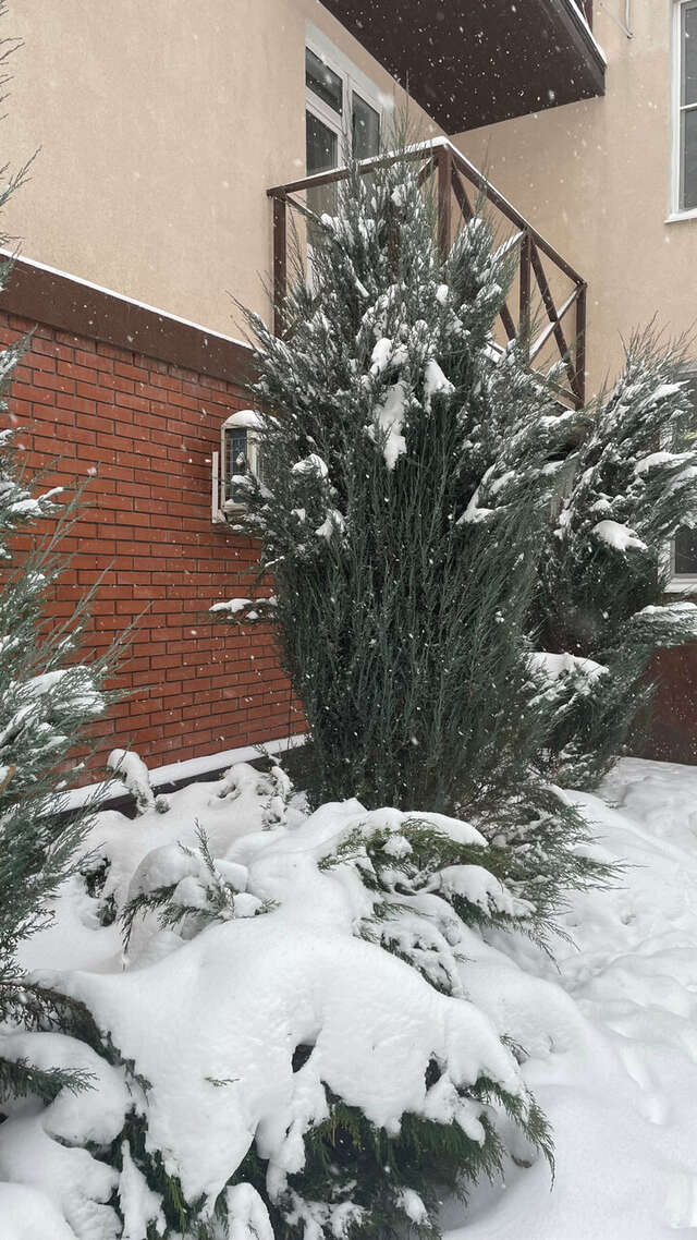 Апарт-отель Лондон Новокуйбышевск-77